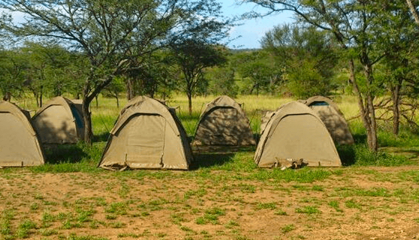 8 Days Kenia Escape Safari Package