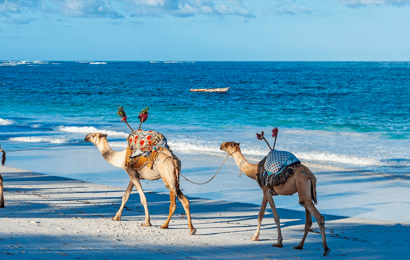 11 Days Mother-Daughter Kenya Safari & Flight to Diani Beach Escape for Lovers