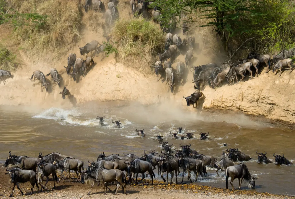 3 Days Lodge Masai Mara Escape