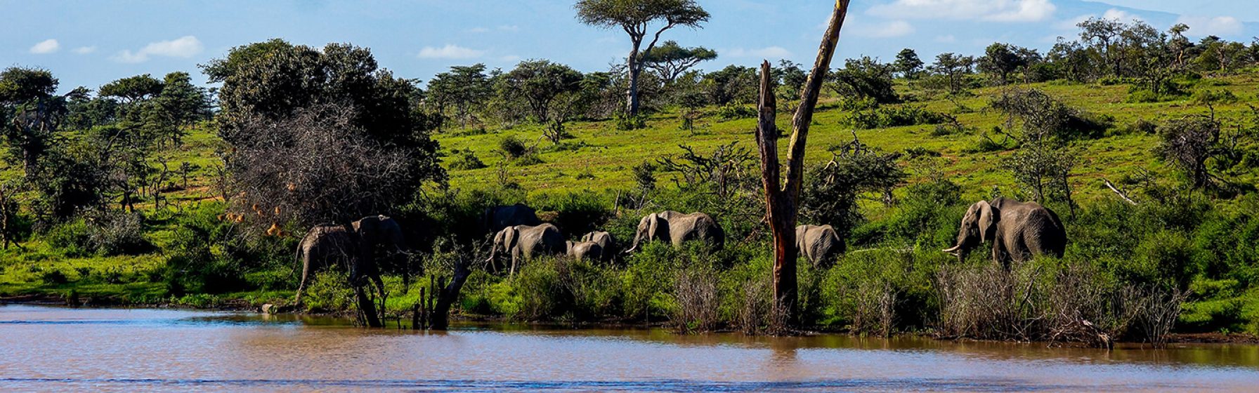 elephant-lake-manyara